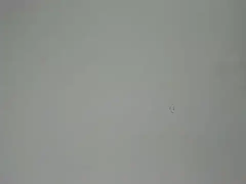 Aliciaa Diamond online show from March 25, 2026, 8:30 pm