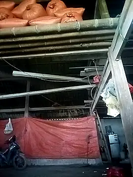 Smile-x online show from April 3, 2026, 12:50 am