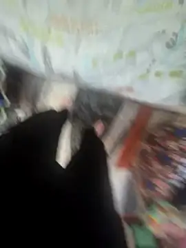 Snapshot of MassiveCongame chatting on March 25, 2026, 12:37 pm MassiveCongame online show from March 25, 2026, 12:37 pm