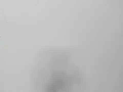 Alejandra and James  online show from March 29, 2026, 11:23 am