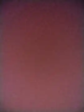 TANU01990 online show from April 12, 2026, 5:11 am