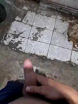 NovinhoTopBrasil online show from March 31, 2026, 7:38 pm