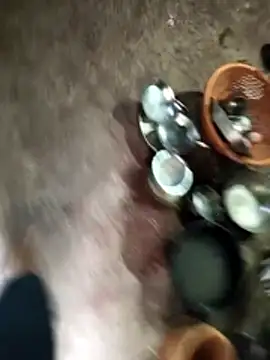 Rocky pune online show from April 8, 2026, 1:29 am