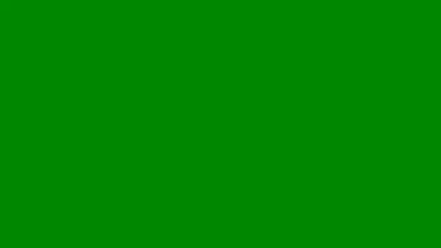 AshleyFerreer online show from May 12, 2026, 9:21 pm