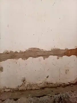 Snapshot of Nkazimulz chatting on April 9, 2026, 1:28 pm Nkazimulz online show from April 9, 2026, 1:28 pm