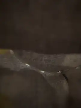 xezie online show from April 10, 2026, 10:00 am