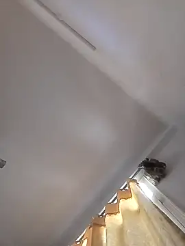 Snapshot of rathorejii chatting on April 14, 2026, 5:56 am rathorejii online show from April 14, 2026, 5:56 am