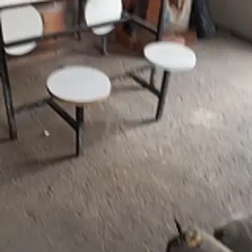  - - putinha -  online show from April 23, 2026, 3:35 pm