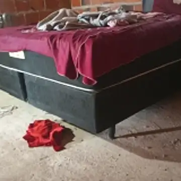  - - putinha -  online show from April 24, 2026, 11:23 am