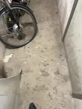 desirchat online show from April 25, 2026, 12:13 am