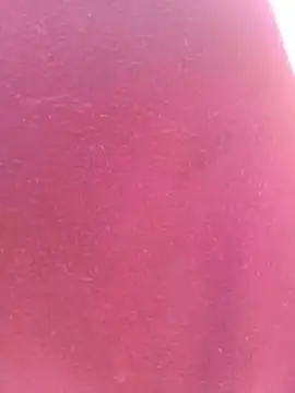 bombasexual online show from May 6, 2026, 1:04 pm