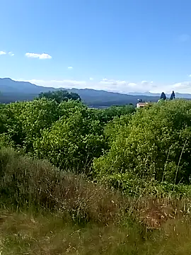 Arcadio7 online show from May 10, 2026, 3:14 pm