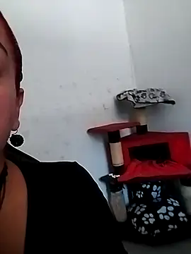 Tumilf online show from June 11, 2026, 4:48 pm