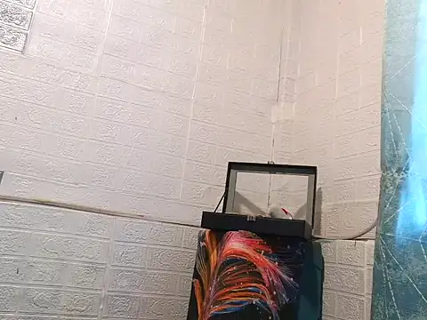 DivesOmnibus online show from May 19, 2026, 1:56 am