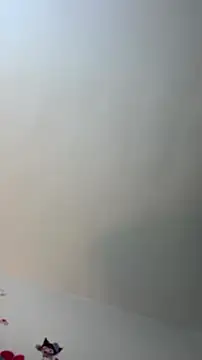 Eilicarver online show from July 4, 2026, 12:43 pm