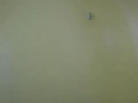 Cuteebony16 online show from June 20, 2026, 1:05 pm