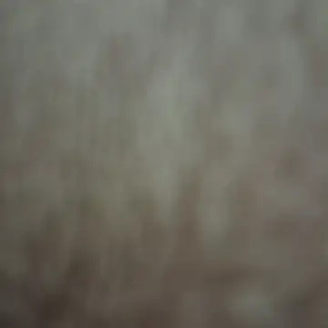 xandria09 online show from May 26, 2026, 1:58 am