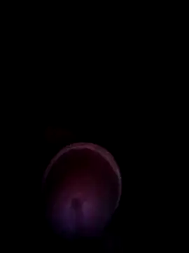 blanquito leche online show from July 29, 2026, 4:44 am