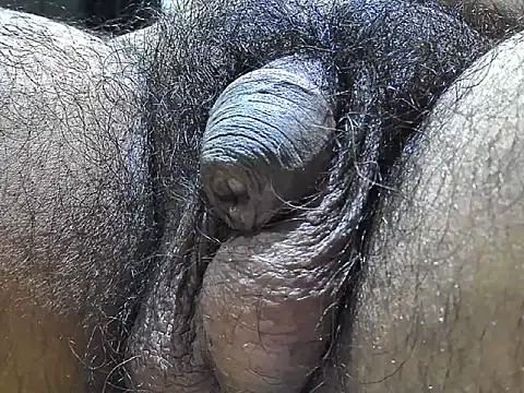 indiboy009 online show from September 9, 2025, 7:34 pm