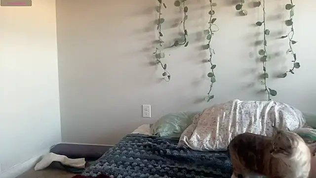 Snapshot of maddiliz chatting on November 27, 2025, 9:48 pm maddiliz online show from November 27, 2025, 9:48 pm