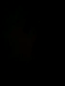 hook9sex online show from June 11, 2026, 4:53 am