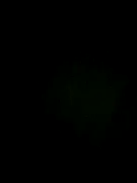 Melhordosite online show from July 15, 2026, 5:53 pm