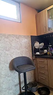 rposhta1991 online show from March 14, 2026, 10:54 am