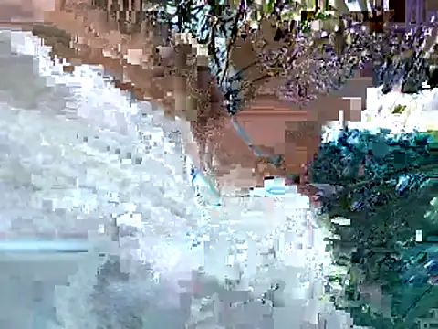 lilpervt online show from June 11, 2026, 12:32 am