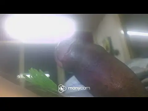 Snapshot of jikh13 chatting on January 6, 2026, 3:38 pm jikh13 online show from January 6, 2026, 3:38 pm