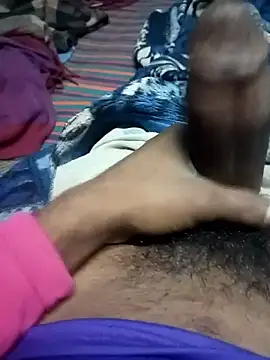 Bengali BULL1 online show from February 6, 2026, 1:51 pm