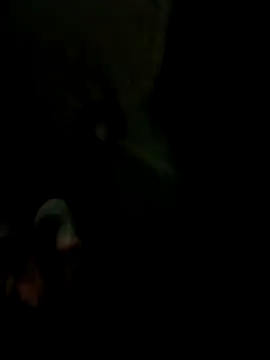 Bengali BULL1 online show from October 17, 2025, 9:27 pm