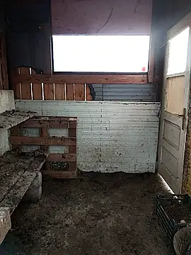 sarpe4 online show from February 28, 2026, 6:57 am