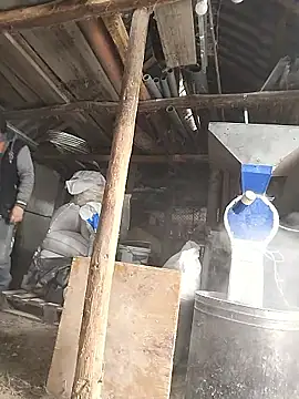 sarpe4 online show from January 8, 2026, 7:58 am