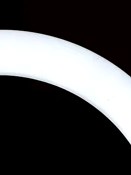 Snapshot of Bull8 chatting on March 18, 2025, 1:34 pm Bull8 online show from March 18, 2025, 1:34 pm