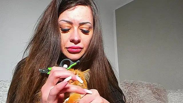 BrianaDiamondXXX online show from May 23, 2026, 9:52 am
