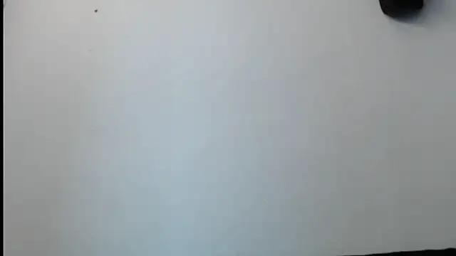 Snapshot of SebastianReiss chatting on February 13, 2025, 1:29 am SebastianReiss online show from February 13, 2025, 1:29 am