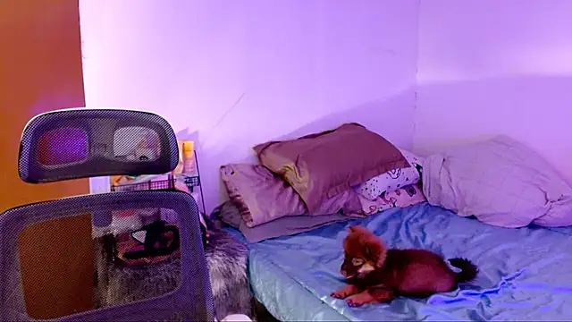 SweetLilly 18 online show from November 2, 2025, 2:22 pm