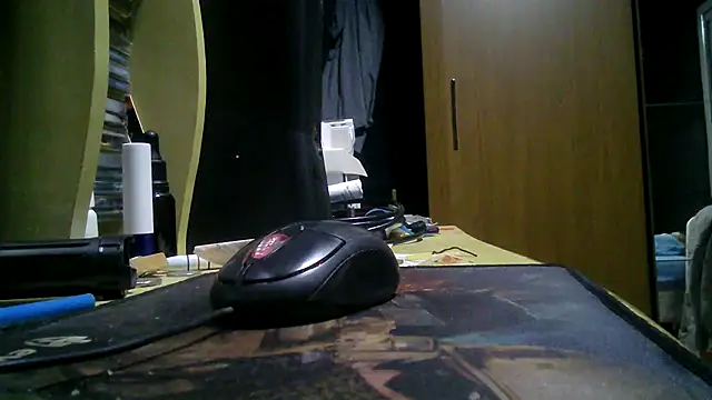 gauchors20 online show from March 10, 2026, 3:10 am