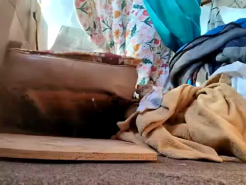 klamper online show from January 28, 2025, 7:42 pm