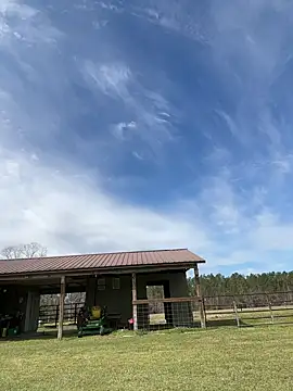 Snapshot of Sitonmyface2020@xh chatting on March 3, 2025, 10:10 pm Sitonmyface2020xh online show from March 3, 2025, 10:10 pm