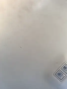 Tristris100 online show from December 23, 2024, 8:14 pm