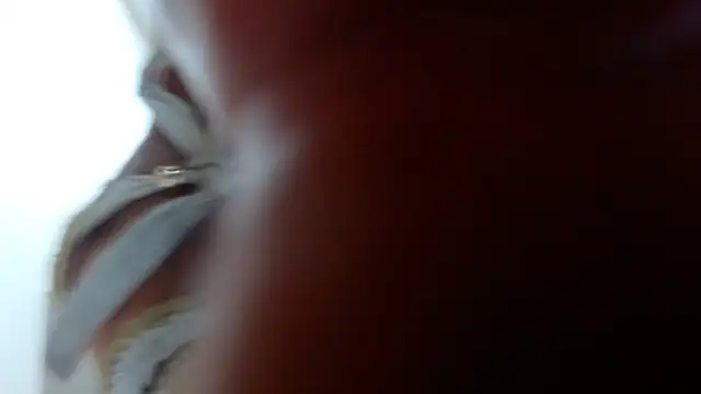 Snapshot of Ixchel_Anaid chatting on March 14, 2025, 12:10 am Ixchel Anaid online show from March 14, 2025, 12:10 am