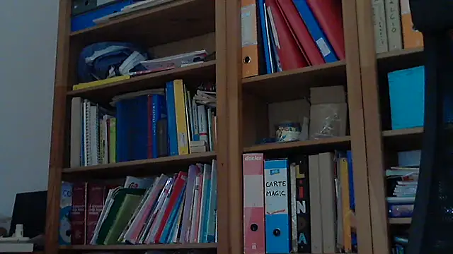 Snapshot of BBB_SAW chatting on March 5, 2025, 3:29 pm BBB SAW online show from March 5, 2025, 3:29 pm