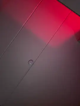 Amanita Bloom online show from January 16, 2026, 4:16 am