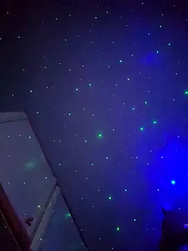 sofiabichota online show from December 6, 2024, 11:52 pm