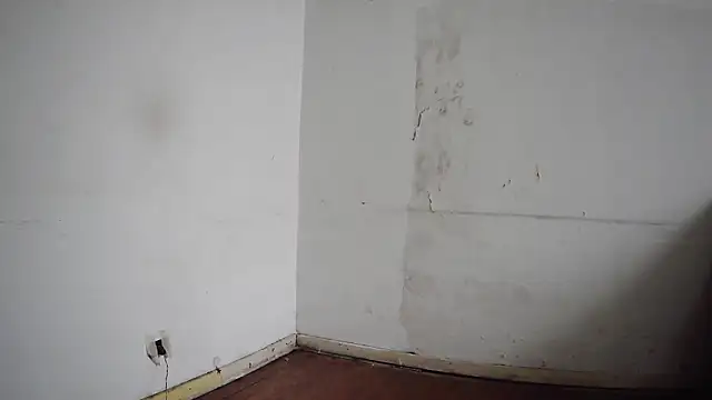 seoulsatxh online show from January 18, 2025, 8:40 pm