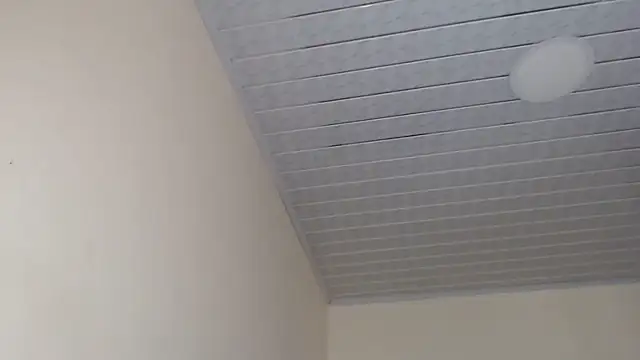 adrixxx38 online show from September 26, 2025, 6:04 pm