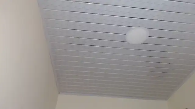 adrixxx38 online show from November 3, 2025, 7:39 pm