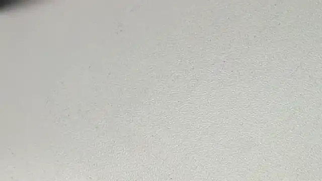 yodaModel1 online show from February 6, 2025, 10:14 am