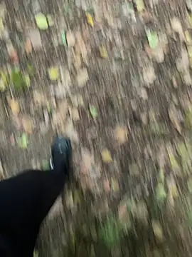 bestofsex99 online show from October 5, 2025, 3:47 pm